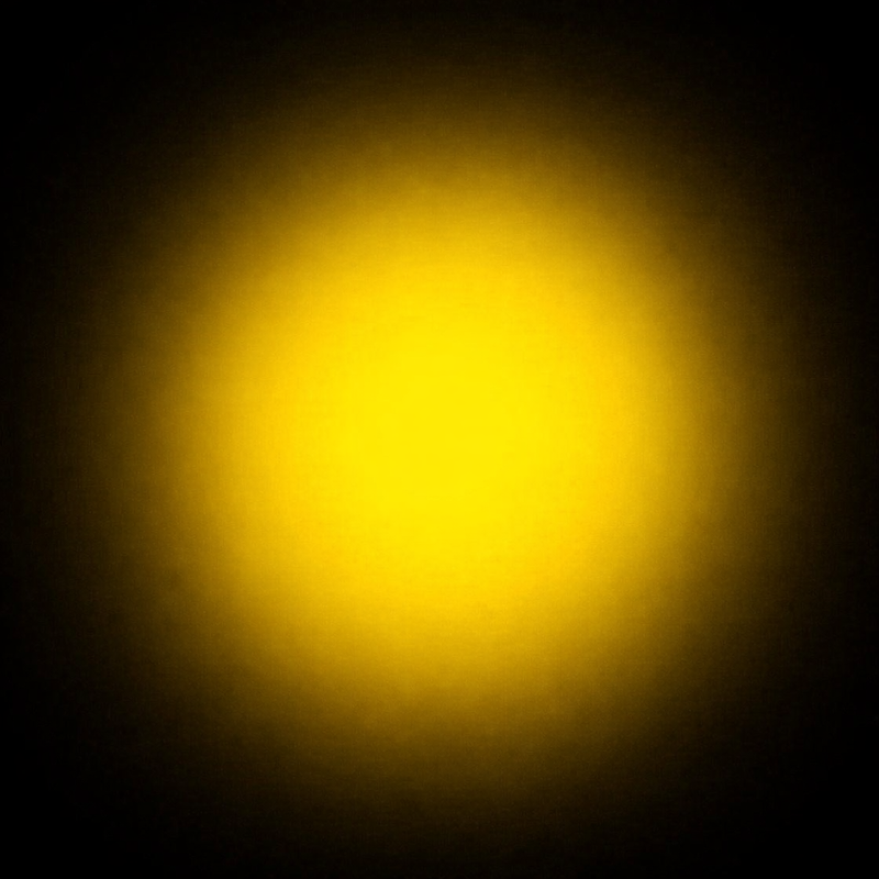 Purple Light (Red + Blue Blend)