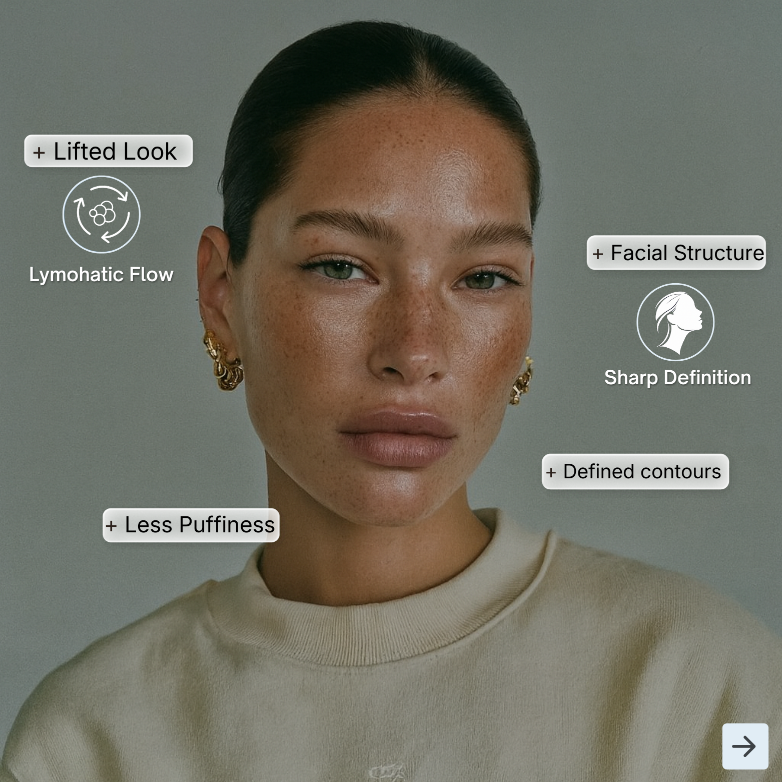 Facial Contour Brush