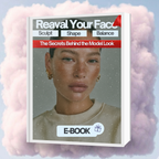 Facial Contour Brush